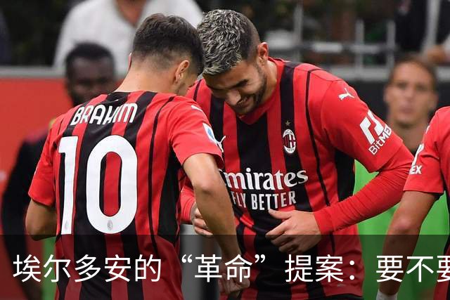 埃尔多安的“革命”提案：要不要把否决权扔进垃圾桶？